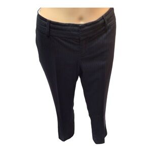 Banana Republic Trouser Martin Fit in Navy Blue with Light Blue Pinstripe in 4P